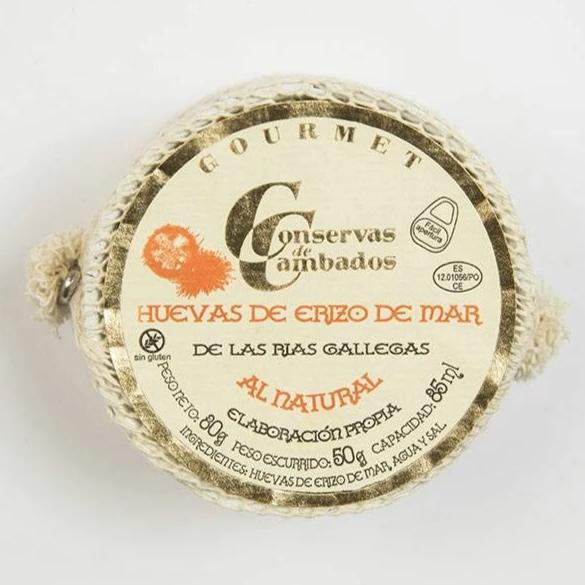 Corail d'oursin de Galice.